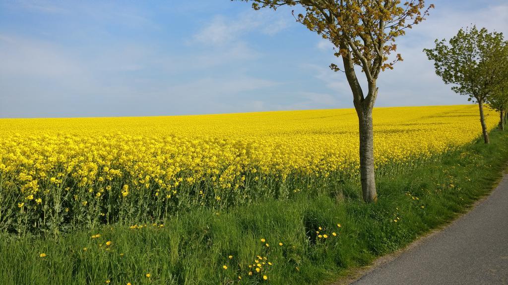 Ferien An Der Ostsee Thomsdorf  ภายนอก รูปภาพ